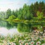 Глоток счастья