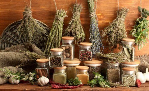 Народное средство от 100 недугов