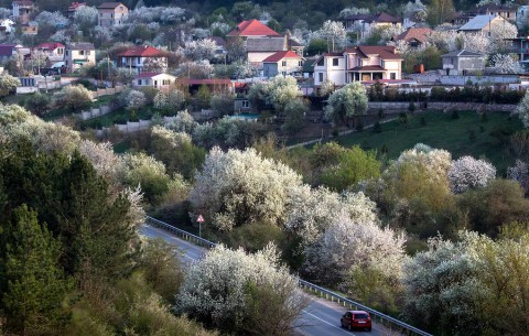 Госдума продлила дачную амнистию