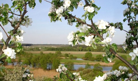 Любите Родину свою Любите Родину свою