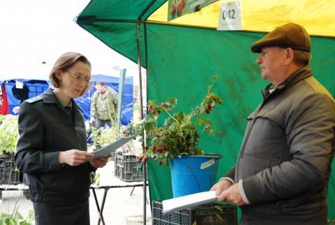 Как не стать жертвой торговцев рассадой?