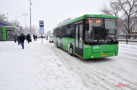 Гордума Екатеринбурга поддержала бесплатный проезд для ветеранов