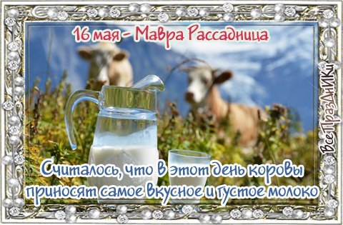 Народный календарь: ​Мавра Рассадница