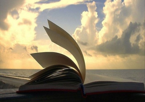 7 слов, в которых мы постоянно путаем буквы