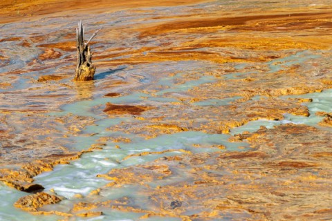 Хуже Норильска! Екатеринбуржец сделал пугающие фото экологической катастрофы на Урале