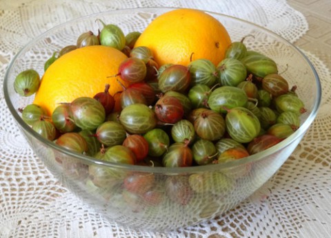 Варенье из крыжовника с апельсинами