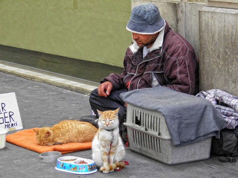 ​Международный день борьбы за ликвидацию нищеты
