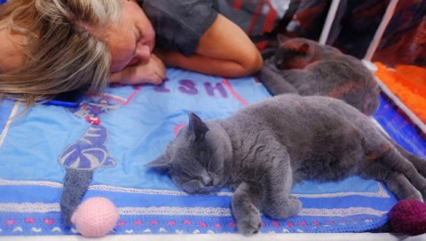 Кардиолог назвал опасные для сна позы