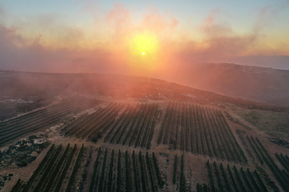 Земля получила неожиданный эффект от пандемии