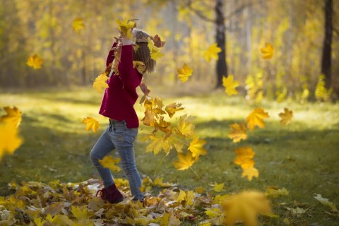 Что ждать от погоды в октябре?