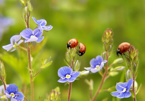 ​Невесёлая басня о погоде