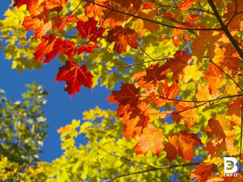 Бабье лето Бабье лето