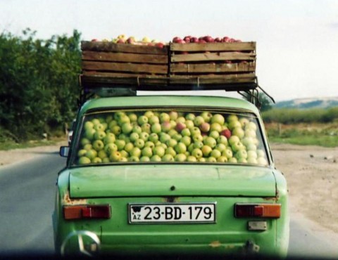 Охота на дачников