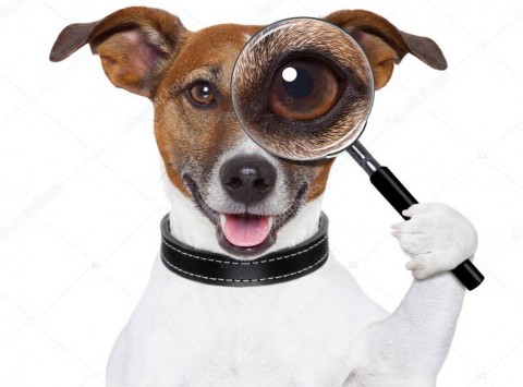 Нужно ли разыскивать других наследников?