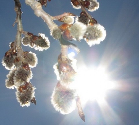 Чего ждать от погоды на Среднем Урале?