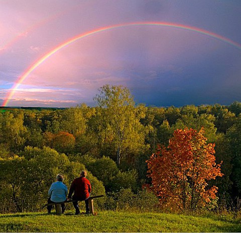Многострадальные «Совет да любовь»