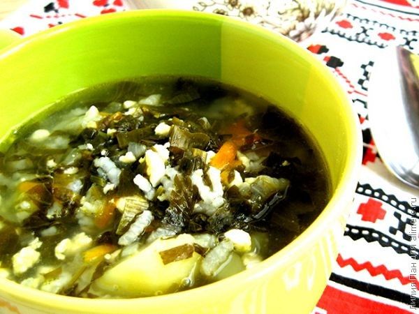Зеленый борщ с рисом