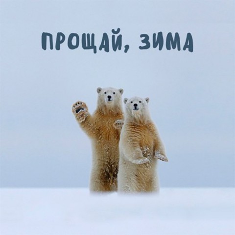 ПРОЩАЙ, ЗИМА! ПРОЩАЙ, ЗИМА!