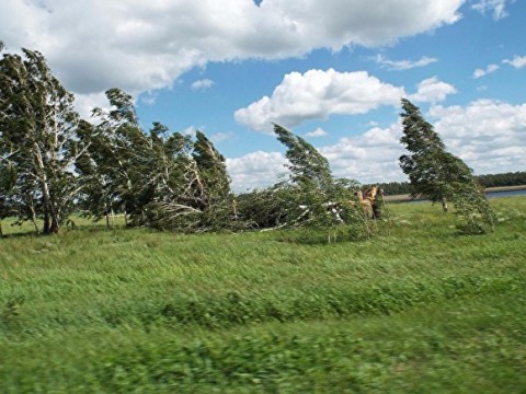 МЧС предупредило уральцев об урагане