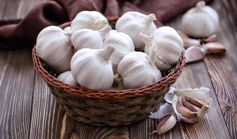 Когда сажать озимый чеснок