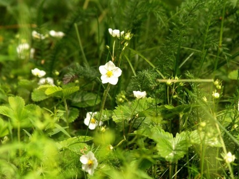 Народный календарь: ​Устинов день