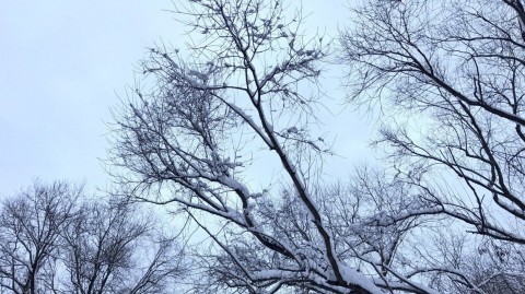 Жителей Сибири предупредили об аномальных морозах