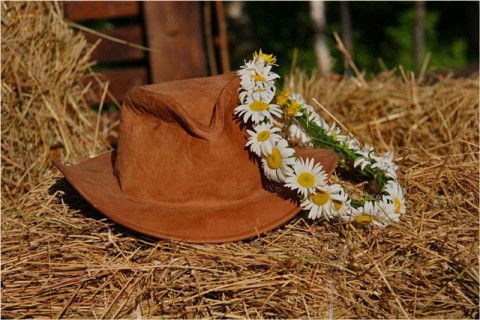 Народный календарь: ​Степан Сеновал