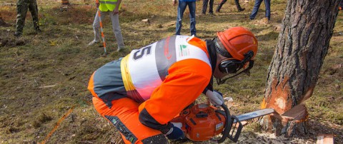 В Свердловской области стартовал конкурс лесорубов