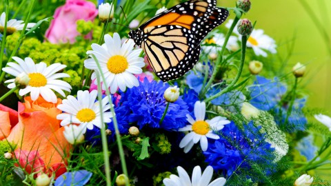 Поздравляю с днем рождения Галину Евгеньевну ЛАКШИНУ, Нину Устинову МАЛКОВУ Поздравляю с днем рождения Галину Евгеньевну ЛАКШИНУ, Нину Устинову МАЛКОВУ