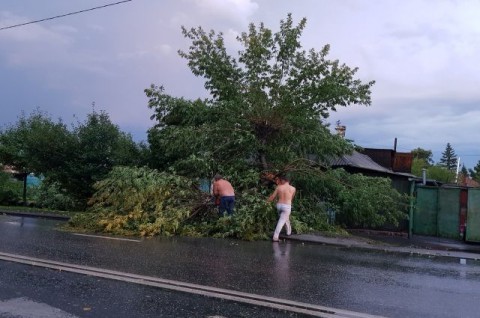 Опубликованы фото последствий урагана на Урале