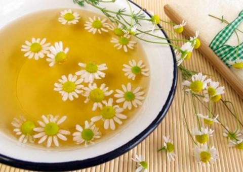 Лечим ромашкой аллергию на цветы