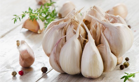 ​Почему загнивает чеснок?