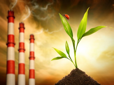 ​Об охране окружающей среды