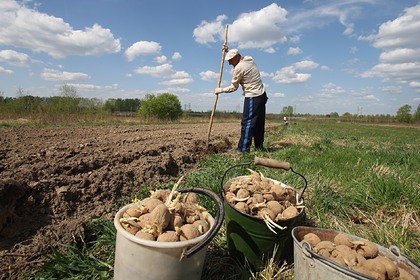 Россияне нашли причину для смягчения ограничений из-за коронавируса