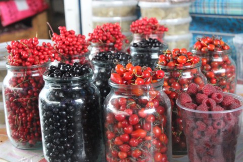 Что собирать в лесу. 9 лучших лесных ягод