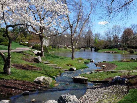 Весна Весна