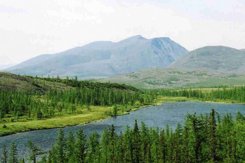 Ветеран уральской закалки