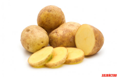 Как теплая весна скажется на урожае картофеля?