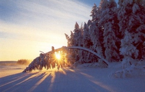 Народный календарь: Евстратиев день