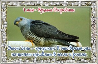 Народный календарь: ​Кузьма Огородник