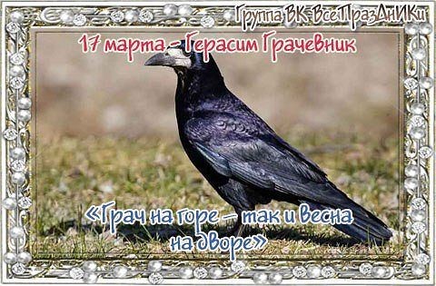 ​Народный календарь: Герасим Грачевник