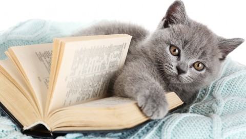 Россияне рассказали, как отдыхают осенью