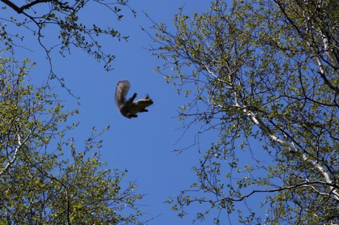 Тепло вернется к свердловчанам на следующей неделе