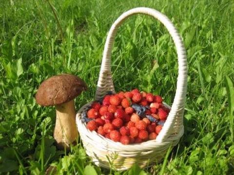 ​Народный календарь: Феодосия Колосяница