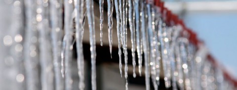 Народный календарь: ​Василий Капельник