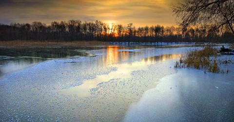 Народный календарь: ​Родион Ледолом