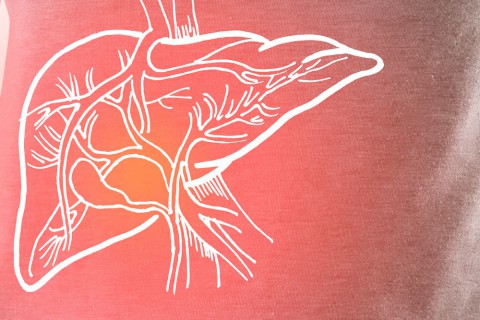 Как защитить печень от воздействия алкоголя