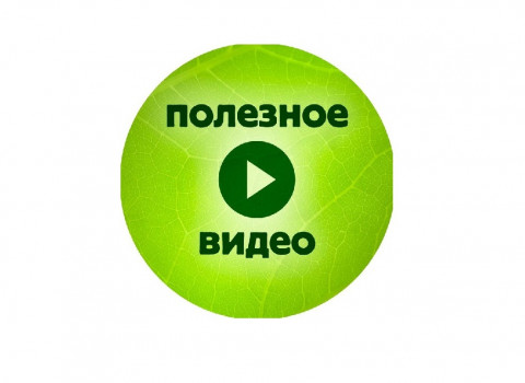 Полезные видео