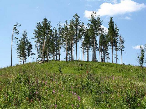 Уральцы с ОВЗ совершили пешую прогулку по Уктусским горам