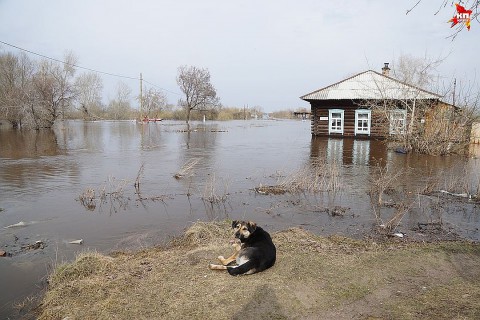 ​Большой воды не предвидится